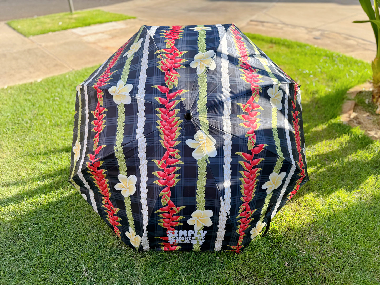 Umbrellas - Big Kine