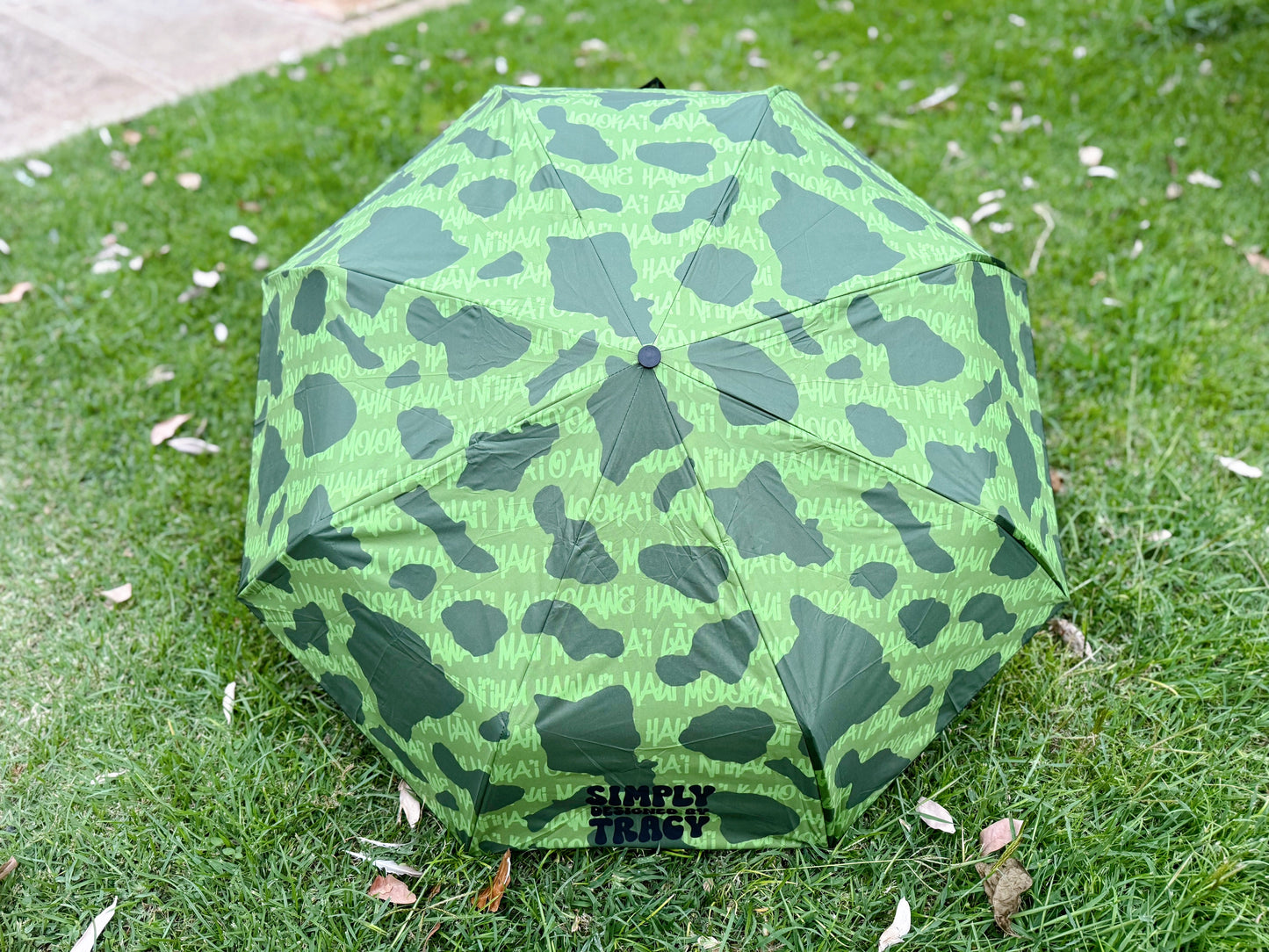 Umbrellas - Regular Kine