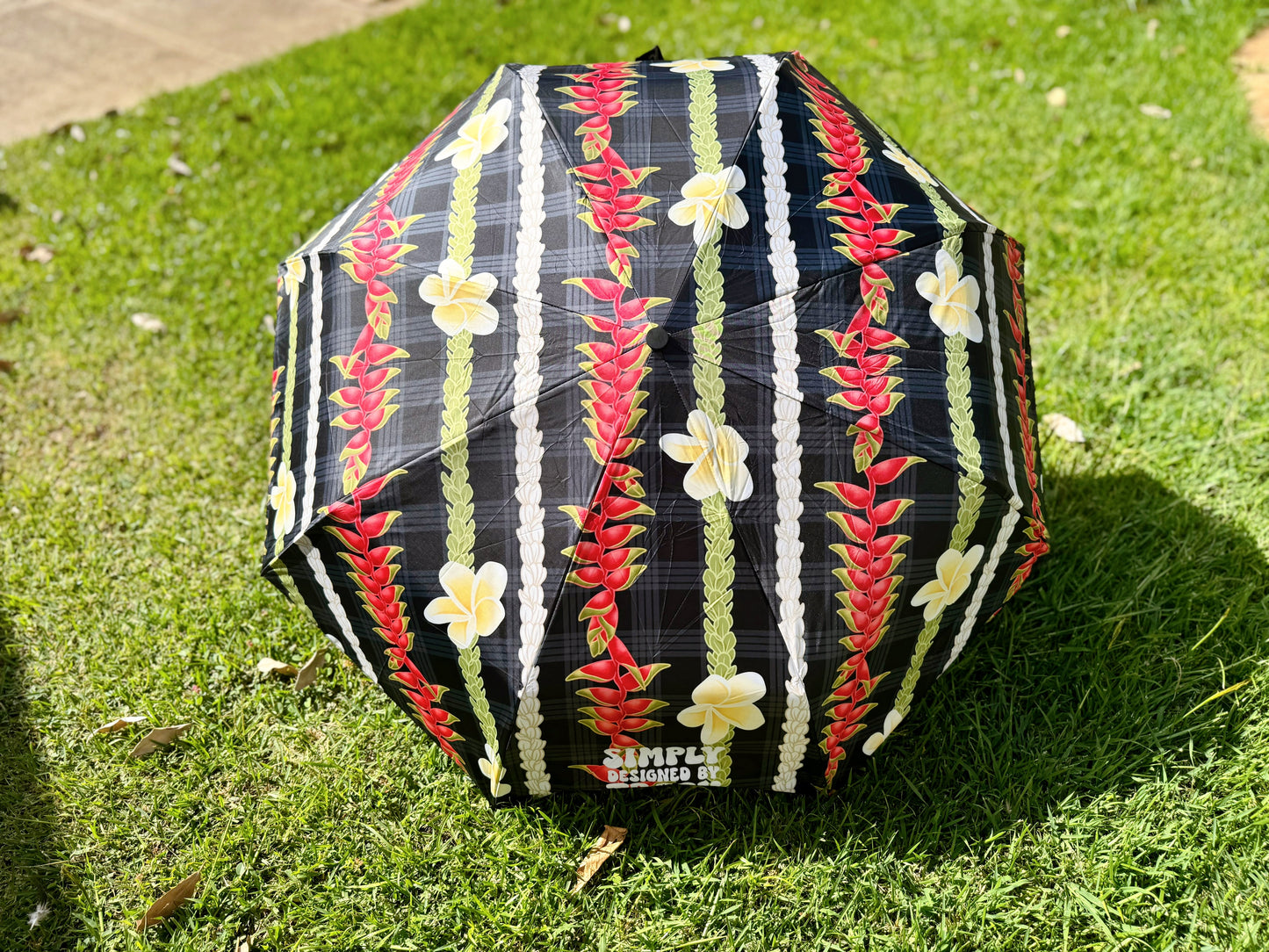 Umbrellas - Regular Kine